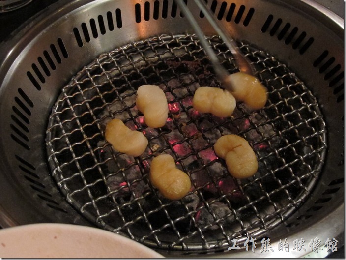 台南-舞飛日式燒烤。大干貝烤到縮成三分之一就可以吃了。