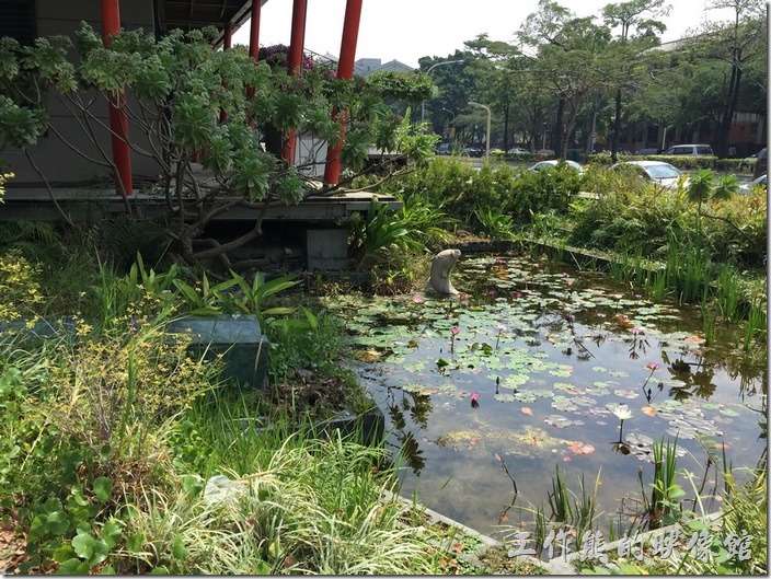 台南成功大學(力行校區)綠色魔法學校。花木扶疏的生態池。