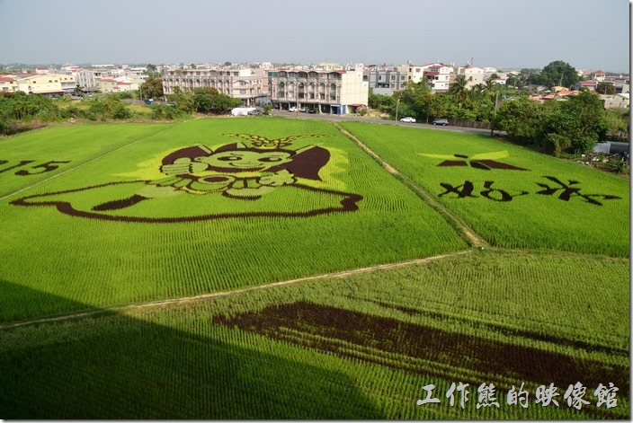 2015年後壁區農會的彩繪稻田除了三太子的圖案外，左手邊還有【2015】，右手邊則有【好米】的字樣。