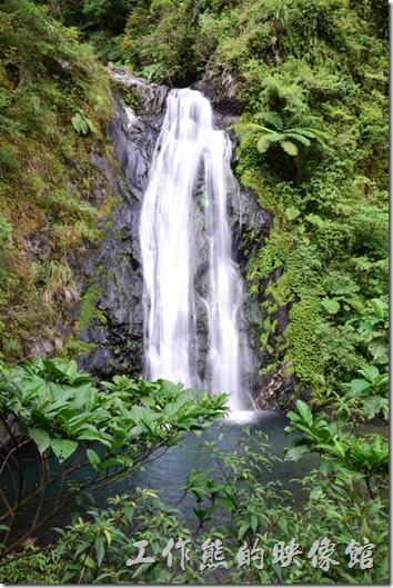 夏天非雨季時新寮瀑布的水流量其實不大，其高度目測大約25-30公尺，並沒有那種大瀑布特有的冰涼環境，不過就台灣的瀑布來看，也不算小了。