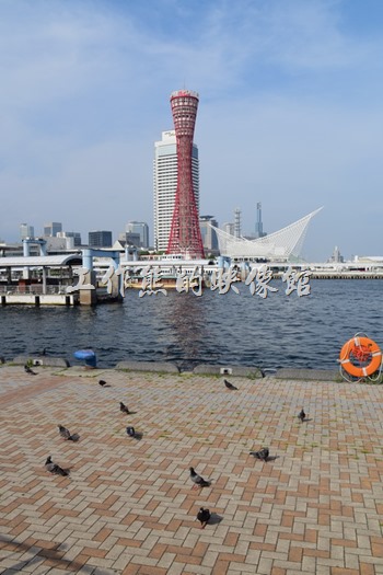 神戶港塔其實是開放參觀的，上面有咖啡館、餐廳，不過工作熊沒有上去。神戶港塔高108米(354英尺)，共有8層，是世界上唯一一個管狀結構的觀光塔。神戶港塔的設計概念源於日本鼓，而建築物以32支紅色的鋼枝包圍著；有寓意歡迎船隻回到岸邊的意義。
